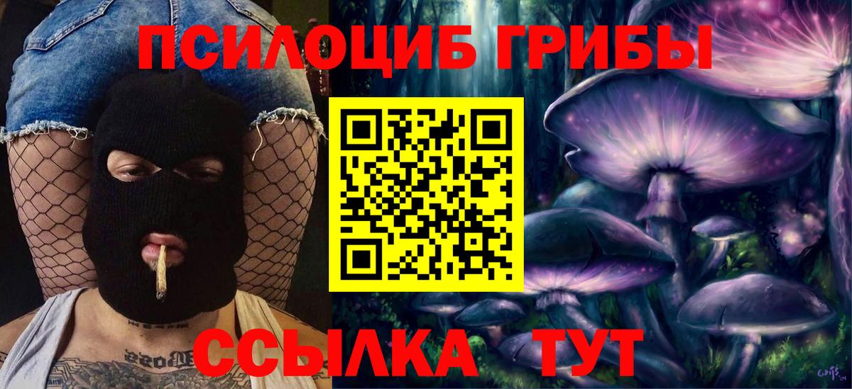 Малоярославец  Псилоцибиновые грибы Psilocybe  Псилоцибиновые грибы Psilocybe  Вход с VPN 
